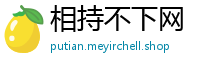 相持不下网